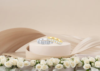 Gifts $900 & Under - Compositions